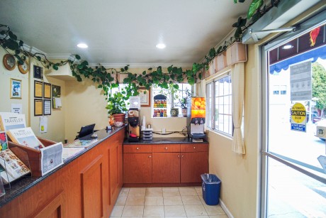 Lobby - Front Desk