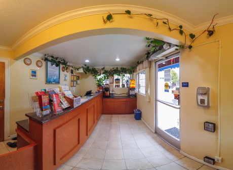 Lobby - Front Desk